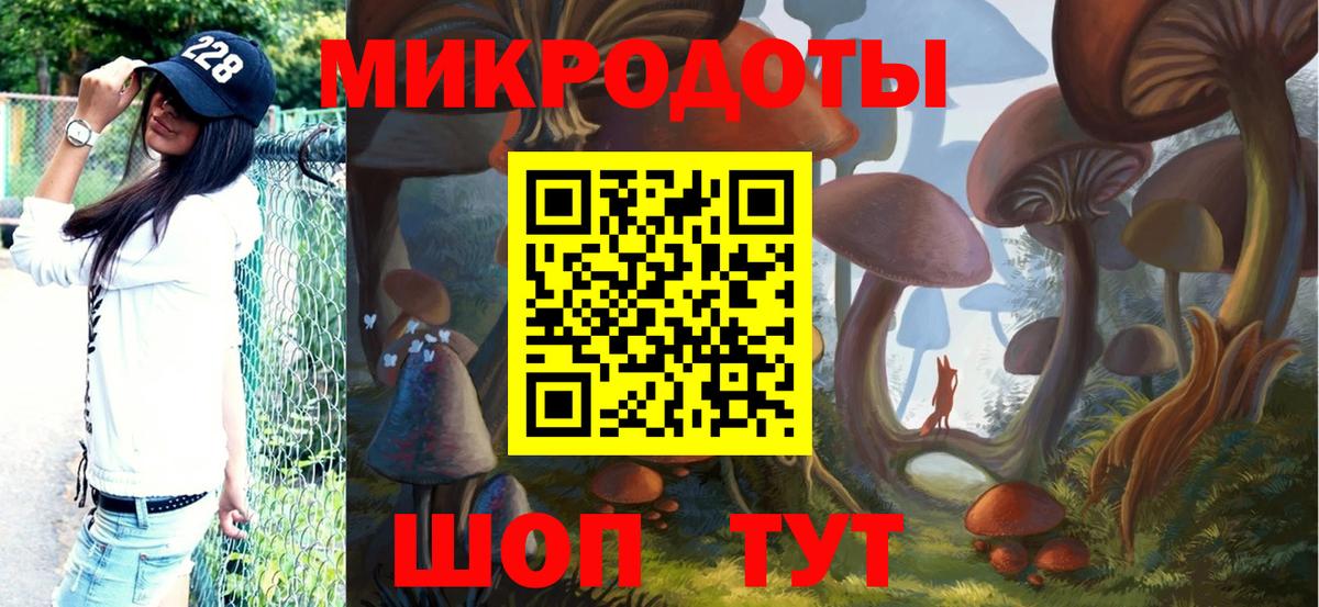 Гурьевск  Псилоцибиновые грибы прущие грибы  Галлюциногенные грибы GOLDEN TEACHER  магазин продажи наркотиков  Вход с VPN 